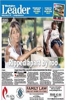 Manningham Leader - January 23rd 2017