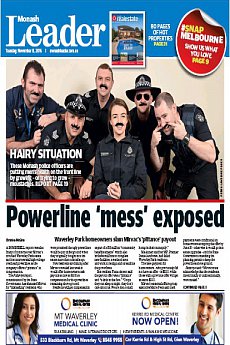 Waverley Leader - November 8th 2016