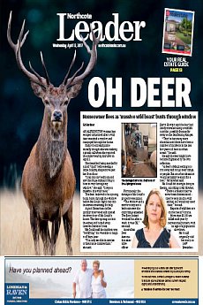 Northcote Leader - April 12th 2017