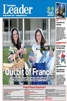 Stonnington Leader - November 4th 2014