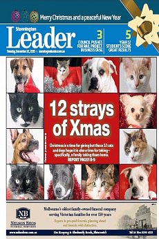 Stonnington Leader - December 22nd 2015