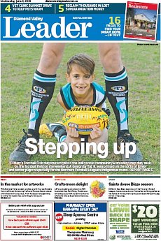 Diamond Valley Leader Banyule Edition - June 3rd 2015