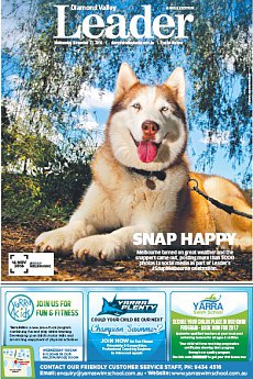 Diamond Valley Leader Banyule Edition - November 23rd 2016