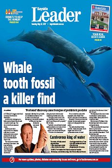 Bayside Leader - May 23rd 2017